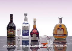 Learn how to professionally prepare over 125 drinks at the Orlando Bartending School located in Altamonte Springs, Florida.