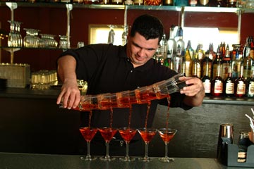Learn behind an actual bar at the New York Bartending School of South Florida!